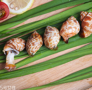 海螺能和西瓜一起吃嗎？海螺和西瓜能同食嗎？