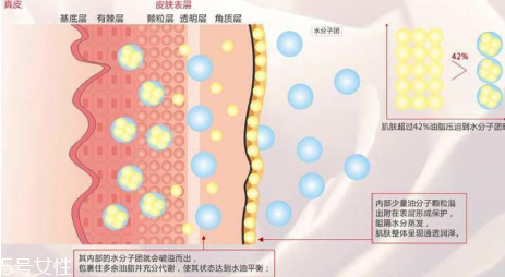 頑固痘痘怎么消除？油皮為什么反復爆痘？