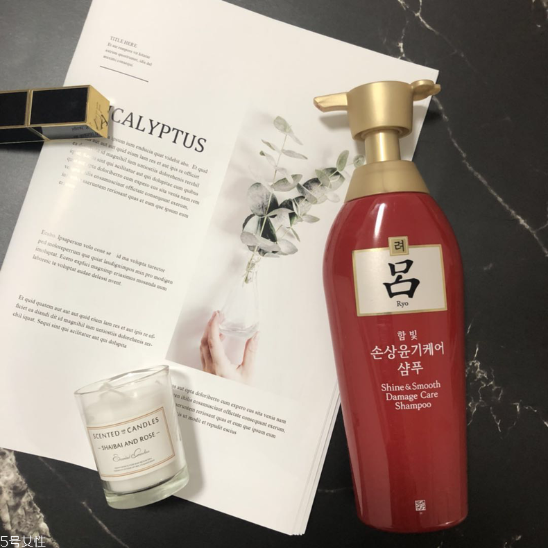 資生堂和呂洗發水哪個好用？2大網紅洗發水誰值得擁有