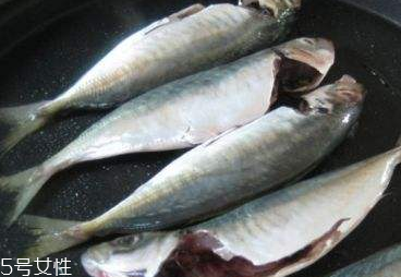 鲅魚(yú)是什么樣子的 鲅魚(yú)身如錘形