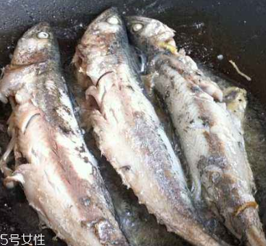 鲅魚(yú)是什么樣子的 鲅魚(yú)身如錘形