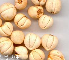 川貝母的營養價值 止咳化痰
