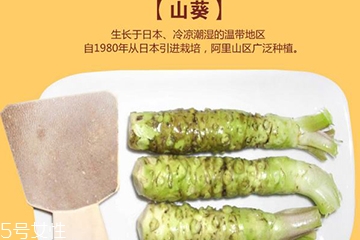 山葵的種植技術 四大要點