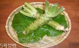 山葵的種植技術 四大要點