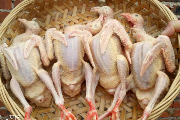 鴿子肉能壯陽嗎 中醫上有這個說法
