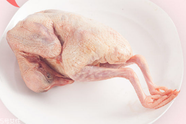 鴿子肉能壯陽嗎 中醫上有這個說法