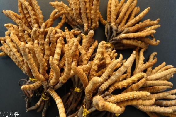 冬蟲夏草發霉了該怎么處理 4招來補救
