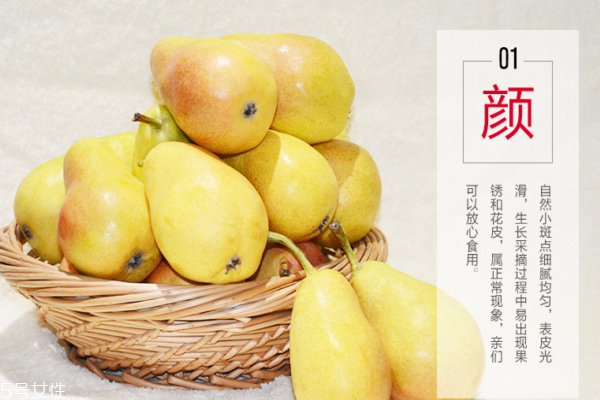 香梨是什么季節的水果 夏季的水果