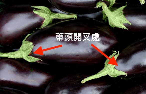 茄子怎么做不發黑 主廚教你兩秘訣