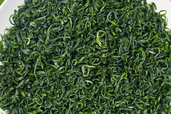 綠茶是發酵茶嗎 不屬于這個類別