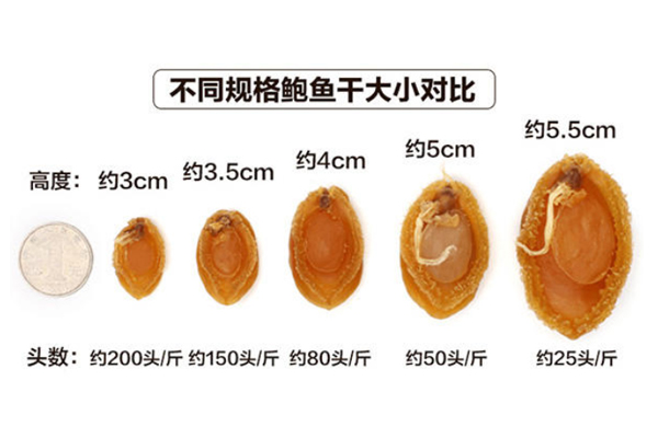 干鮑魚頭數越多越好嗎 頭數越多價格越便宜