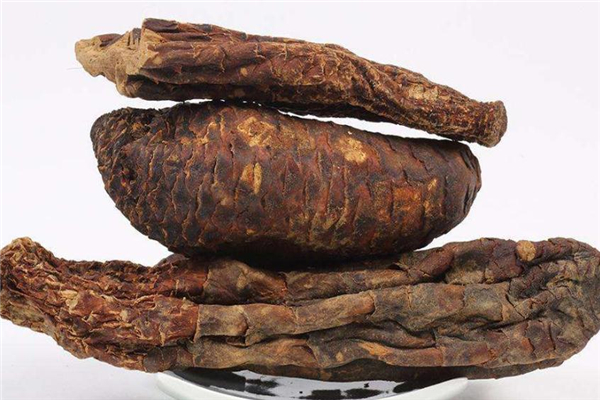 肉蓯蓉糖尿病人可以吃嗎 會產生不適
