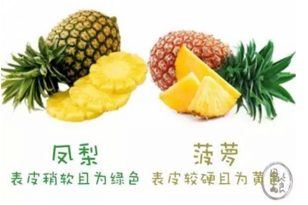 怎么區分菠蘿和鳳梨 菠蘿和鳳梨有什么不同