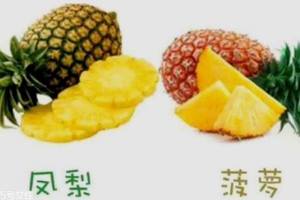 怎么區分菠蘿和鳳梨 菠蘿和鳳梨有什么不同
