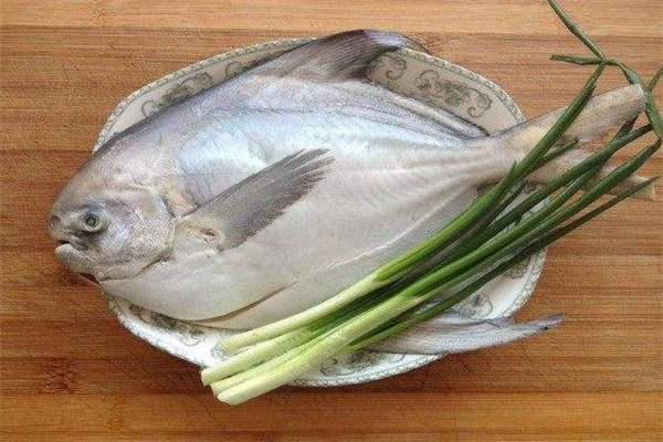 鯧鳊魚的做法大全 營養口感兼備