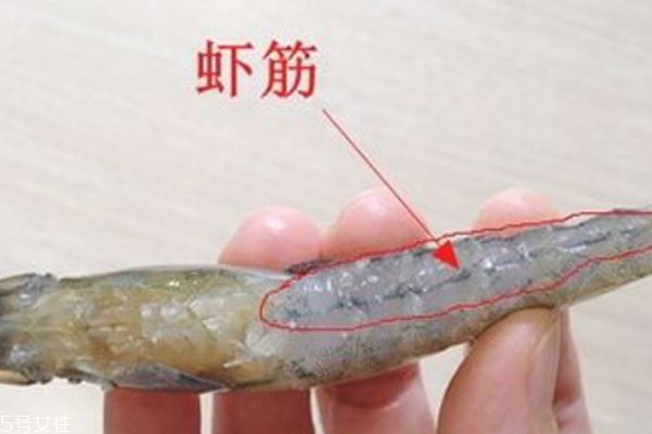 明蝦和沼蝦有什么區別 區別可大了