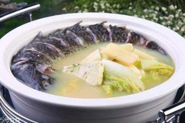 發奶湯有哪些 發奶催乳食譜