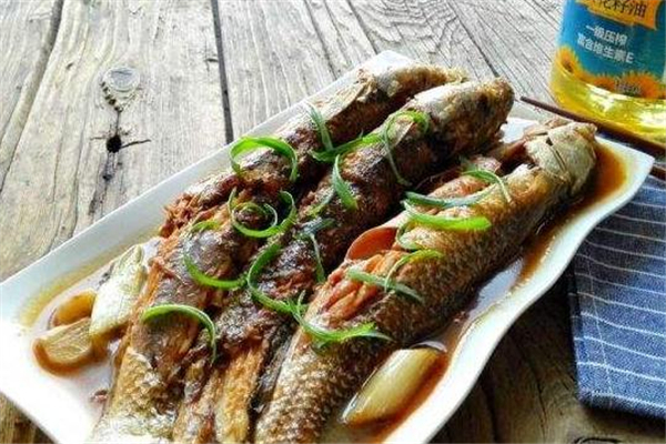 梭魚(yú)是淡水魚(yú)還是海魚(yú) 梭魚(yú)屬性介紹