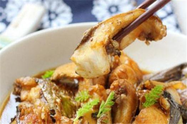 梭魚(yú)是淡水魚(yú)還是海魚(yú) 梭魚(yú)屬性介紹