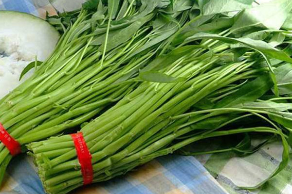 空心菜發芽能吃嗎 空心菜發芽不建議食用
