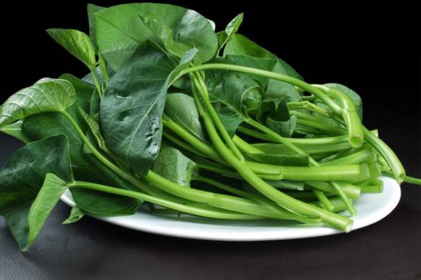 空心菜發芽能吃嗎 空心菜發芽不建議食用