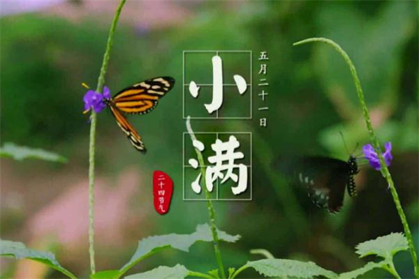 小滿有什么民俗活動 小滿節氣的民俗