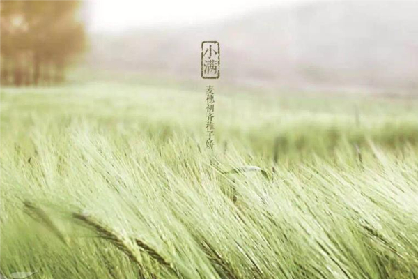 小滿節氣怎么發朋友圈 2019小滿祝福語大全