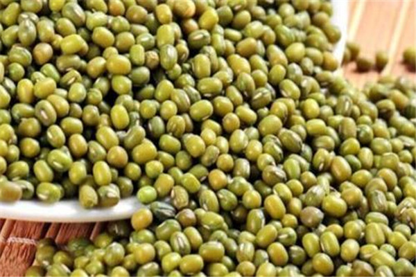 綠豆發芽還能吃嗎 綠豆為什么會發芽
