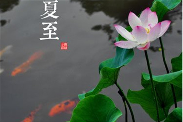 夏至應該吃什么 夏至節氣吃什么對身體好