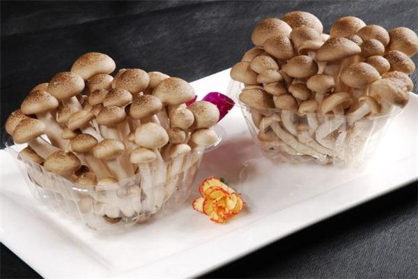 蟹味菇長白毛可以吃嗎 蟹味菇發霉還能吃嗎