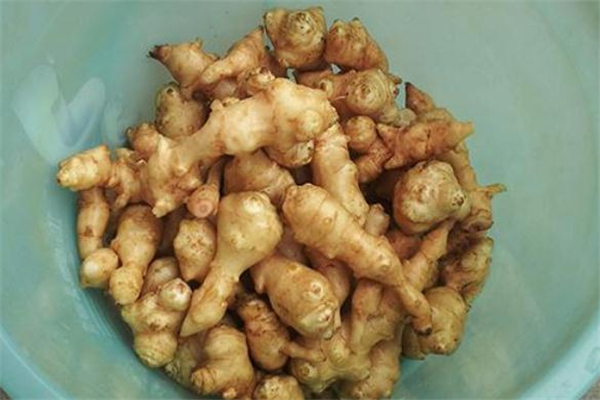 洋姜為什么會變黑 洋姜怎么腌制不發黑