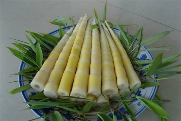 竹筍是發物嗎 曬干的竹筍是發物嗎
