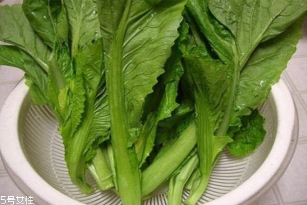 薺菜有什么營養價值呢 吃薺菜有什么好處呢
