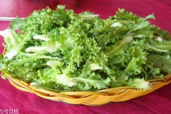 什么是銀絲菜呢 銀絲菜有什么營養價值呢