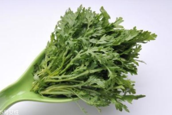 什么是銀絲菜呢 銀絲菜有什么營養價值呢