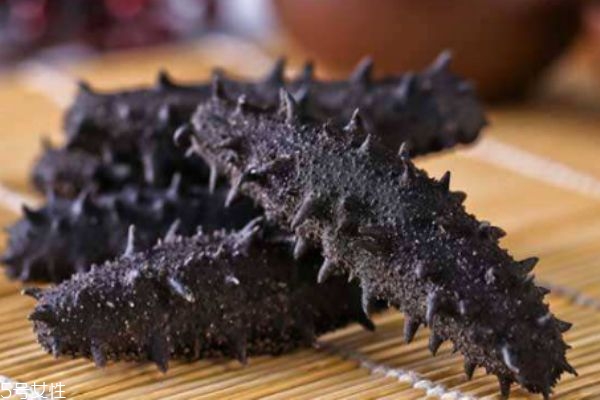 海參有什么營養價值呢 吃海參有什么好處呢