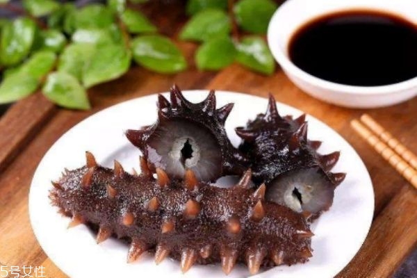 海參有什么營養價值呢 吃海參有什么好處呢