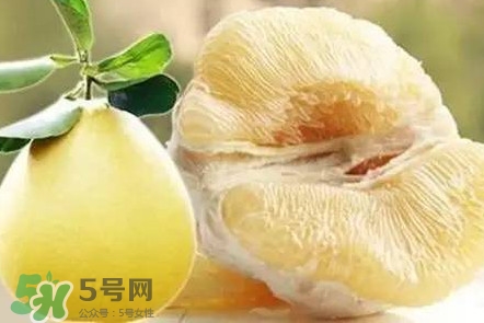 蜜柚是哪個季節(jié)的水果？蜜柚和沙田柚的區(qū)別是什么？