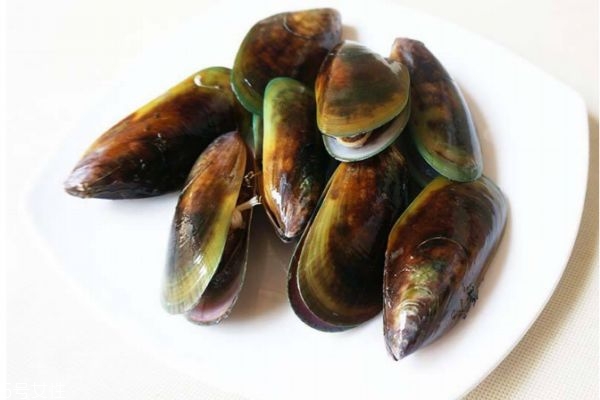 什么是淡菜呢 淡菜有什么營養價值呢