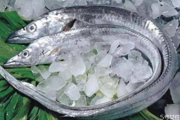 帶魚生長在什么環境里呢 帶魚的熱量有多少呢