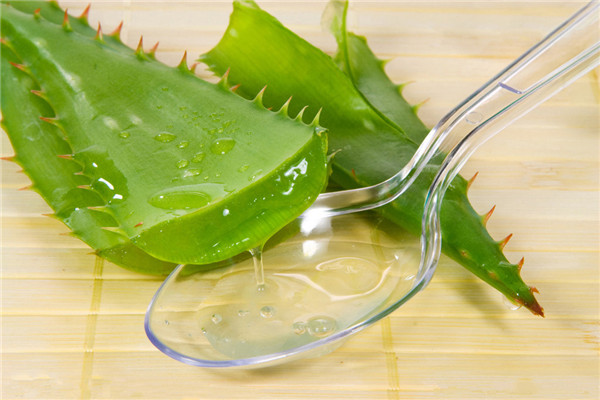 用蘆薈敷臉為什么會(huì)癢 蘆薈過(guò)敏怎么辦
