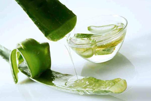 用蘆薈敷臉為什么會(huì)癢 蘆薈過(guò)敏怎么辦