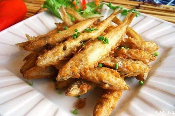 鲅魚和沙丁魚的區別 生活環境不同