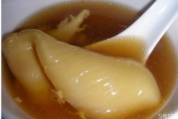 魚膠應(yīng)該怎么吃呢 怎么吃魚膠有營(yíng)養(yǎng)呢