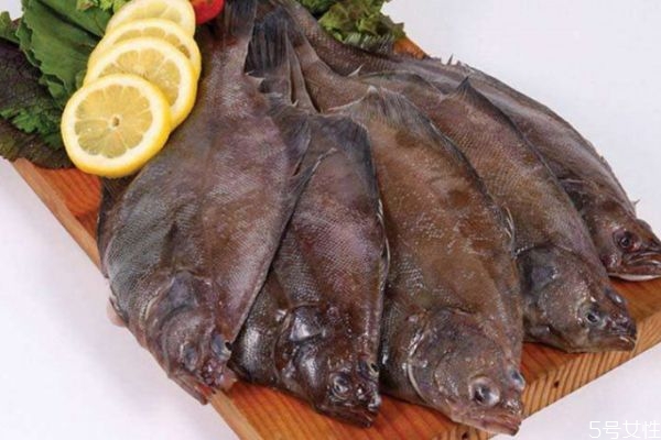 什么是比目魚呢 比目魚有什么營養價值呢