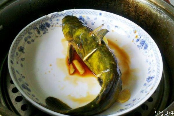 什么是黃刺魚呢 黃刺魚有什么營養價值呢