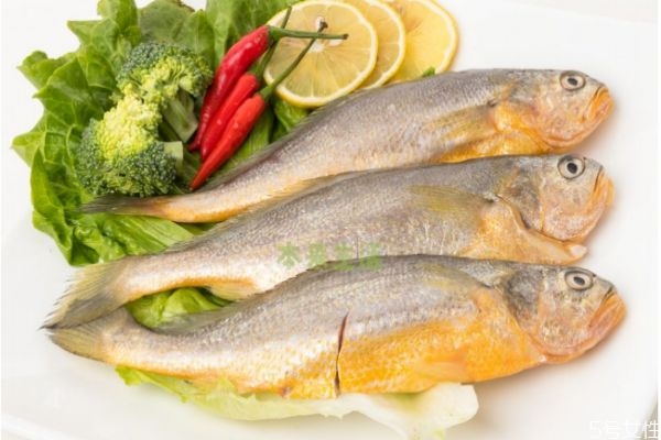 什么是黃花魚呢 黃花魚有什么營養價值呢