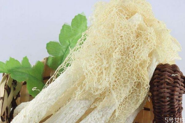 什么是竹蓀呢 竹蓀有什么營養價值呢