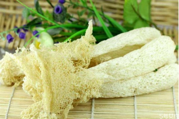 什么是竹蓀呢 竹蓀有什么營養價值呢