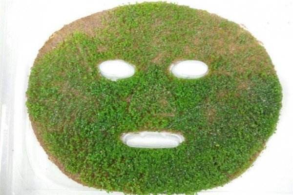 海藻面膜發芽的好還是不發芽的好 海藻面膜怎么判斷真假